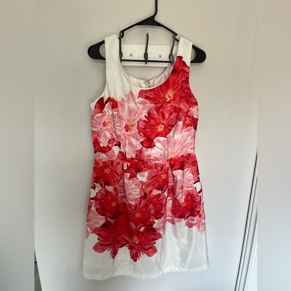 Floral Red and White Dress